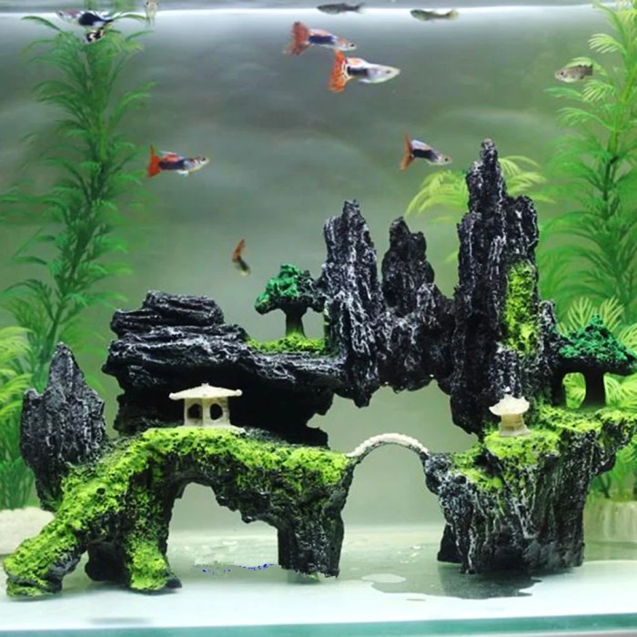 Fish aquarium betta tanks freshwater