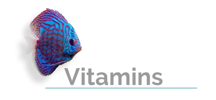 Vitamin Yang Dibutuhkan Untuk Menjaga Kesehatan Ikan Hias