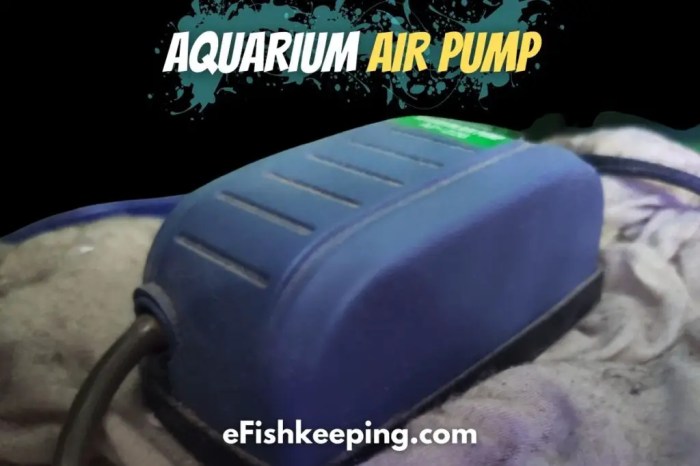 Air pumps aquariums pump aquarium reviewed hutchinson debra november january