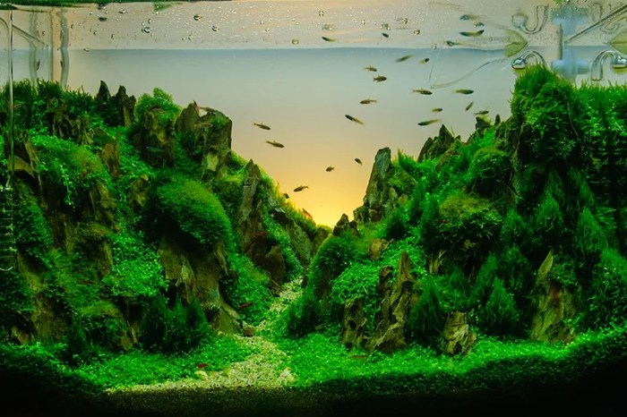 Inspirasi Desain Aquascape Bertema Tropis