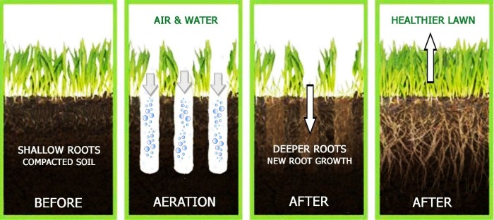 Aeration air system aerator diagram pond important plate