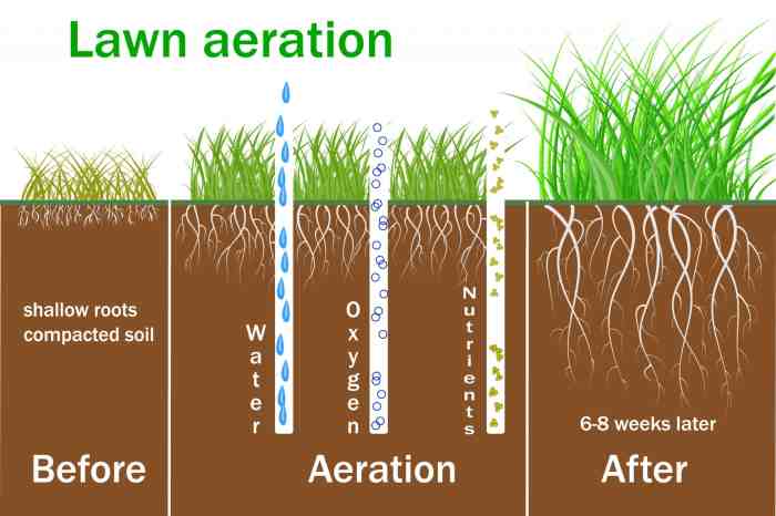 Apa Itu Aerator Dan Bagaimana Cara Menggunakannya?